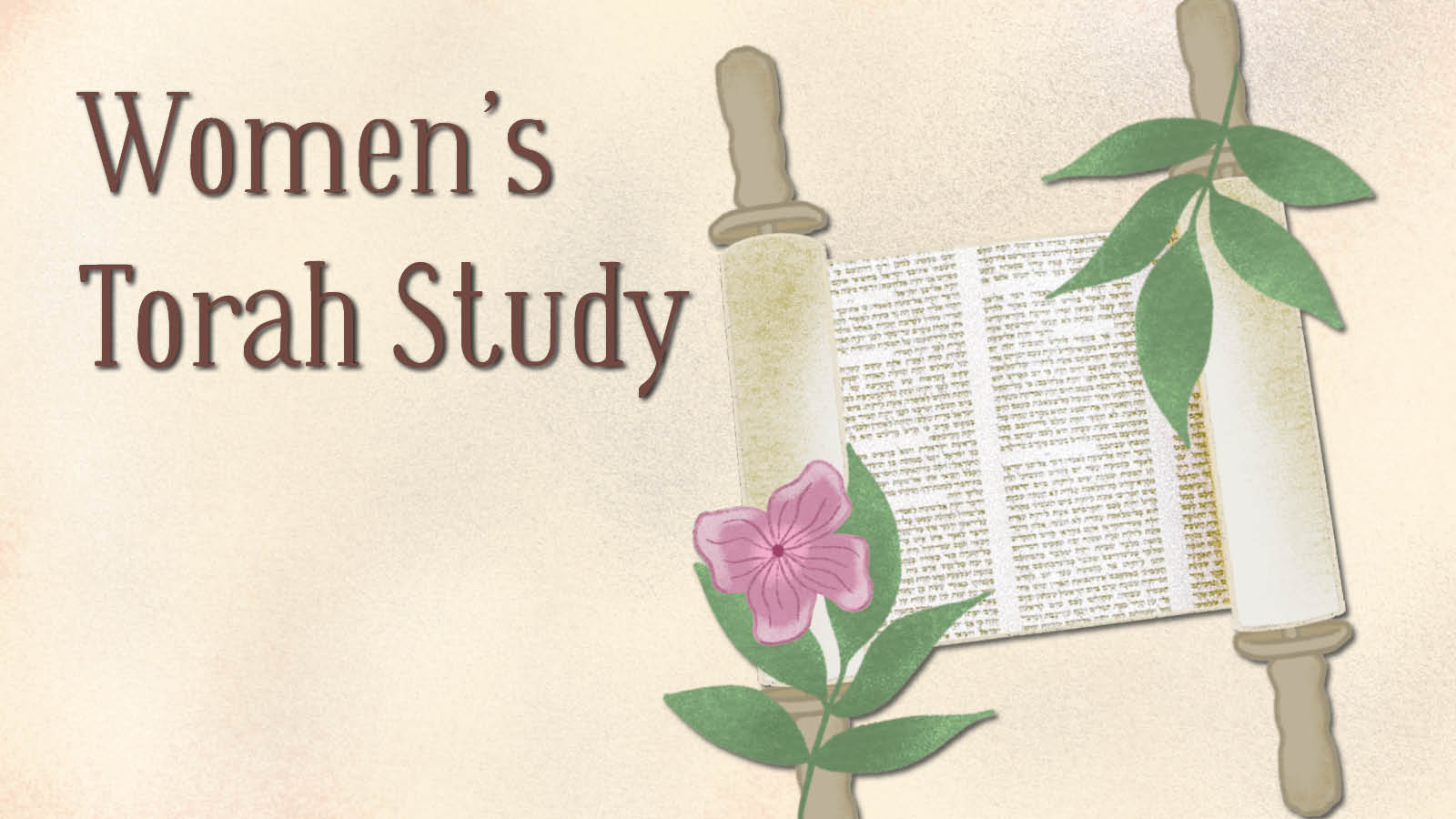 Women’s Torah Study